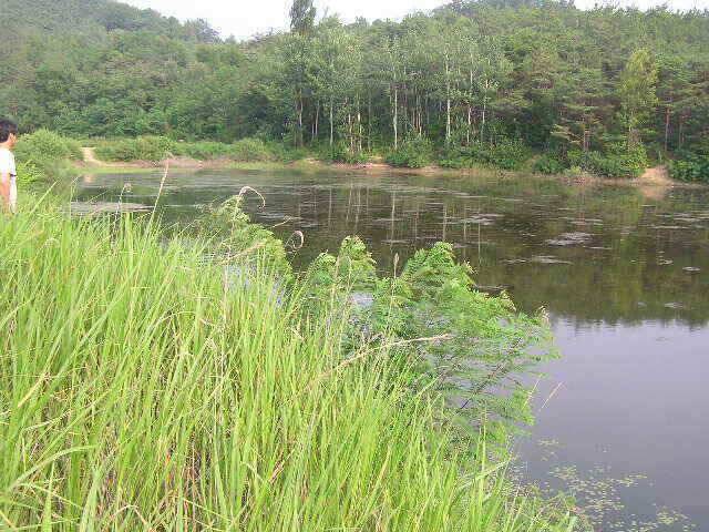 낱마리 조황입니다 (조황조행기 - 낚시점조황)