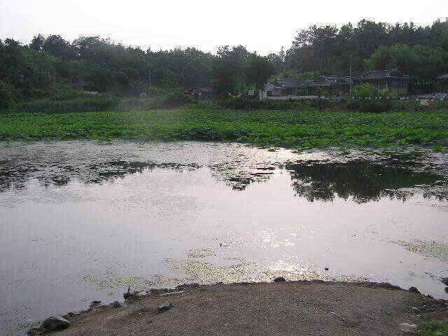 낱마리 조황입니다 (조황조행기 - 낚시점조황)