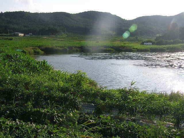 지난주엔 초대박 조황 (조황조행기 - 낚시점조황)