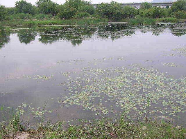 낱마리 조황입니다 (조황조행기 - 낚시점조황)