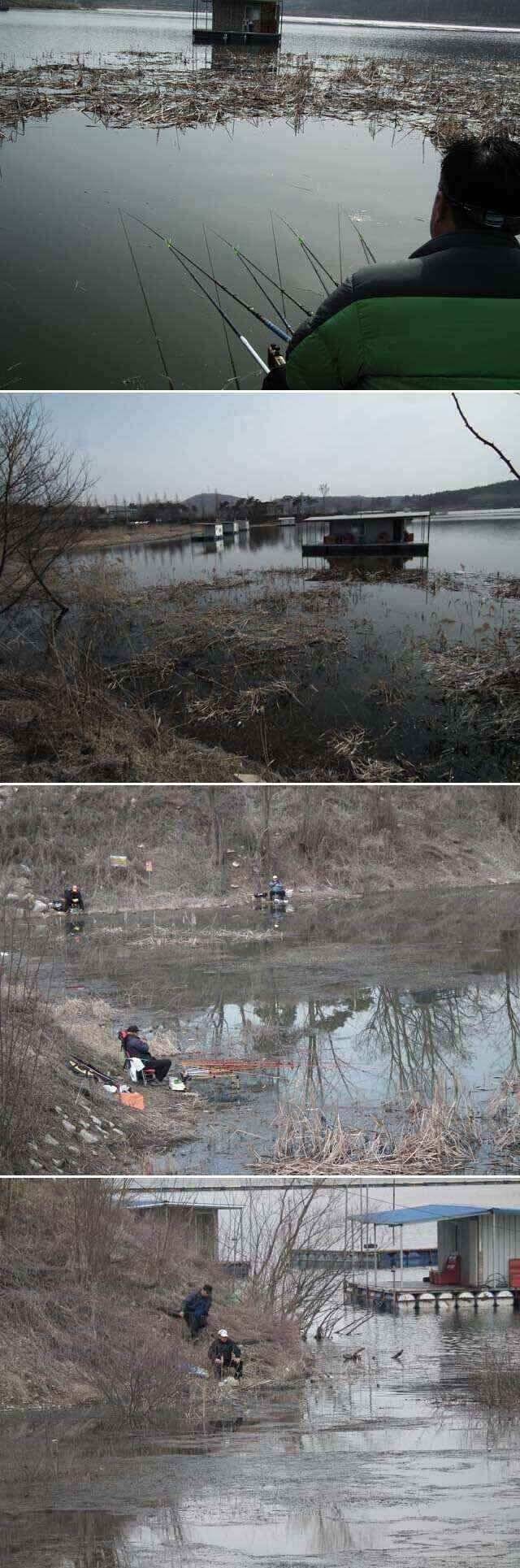 오전시간대보다 오후에 입질이 많네요 (조황조행기 - 낚시점조황)