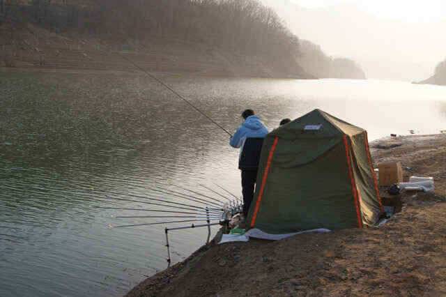 충주호 노지조항정보 (조황조행기 - 낚시점조황)