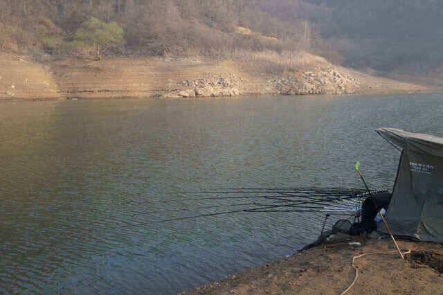 충주호 노지조항정보 (조황조행기 - 낚시점조황)