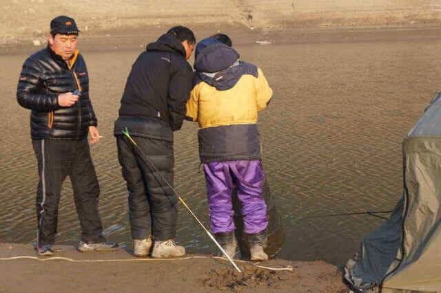 충주호 노지조항정보 (조황조행기 - 낚시점조황)