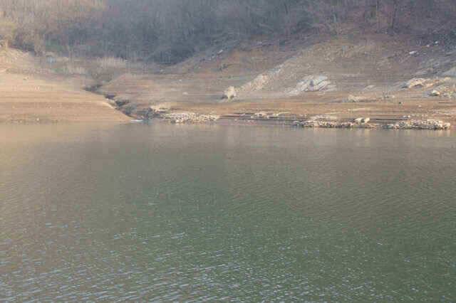 충주호 노지조항정보 (조황조행기 - 낚시점조황)