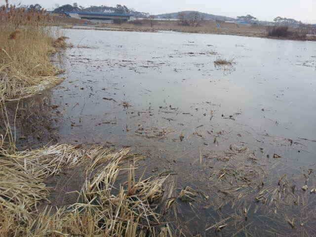 서태안권안면도권 참고하세요스마트 조황 (조황조행기 - 낚시점조황)
