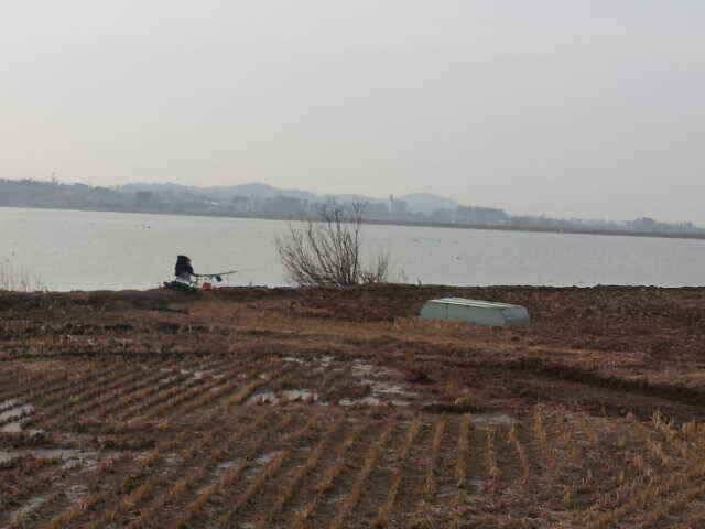 서태안권안면도권 참고하세요스마트 조황 (조황조행기 - 낚시점조황)