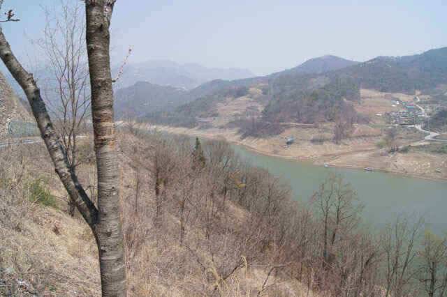 충주호 올첫붕어소식을 전합니다 (조황조행기 - 낚시점조황)