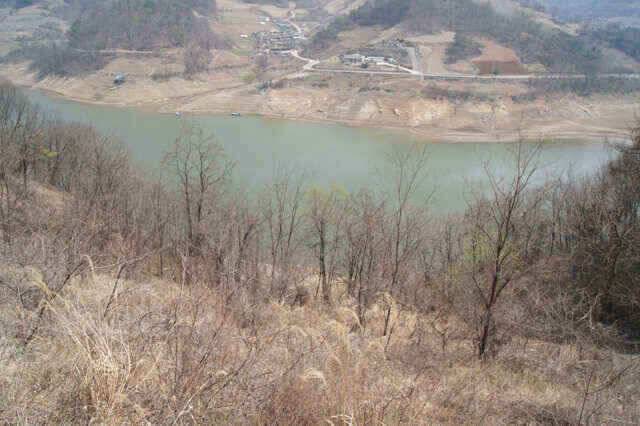 충주호 올첫붕어소식을 전합니다 (조황조행기 - 낚시점조황)