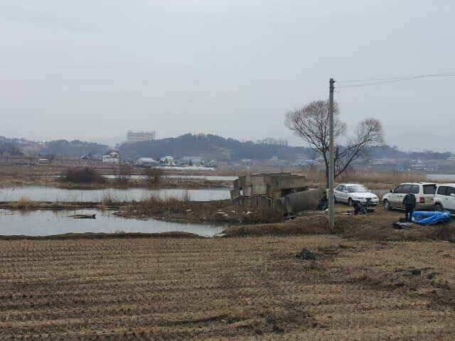 잠홍지 스마트조황 (조황조행기 - 낚시점조황)