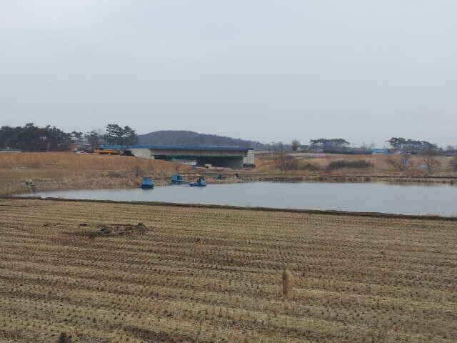 잠홍지 스마트조황 (조황조행기 - 낚시점조황)