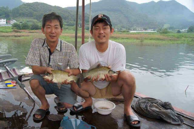 충주호 제일낚시 꾸준한 월척과 노지대물붕어소식입니다 (조황조행기 - 낚시점조황)