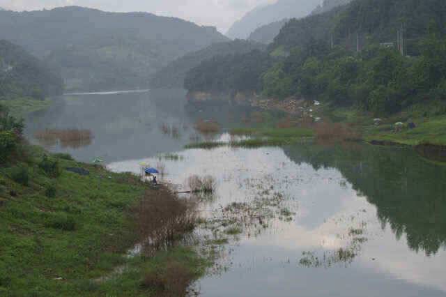 충주호 제일낚시 꾸준한 월척과 노지대물붕어소식입니다 (조황조행기 - 낚시점조황)