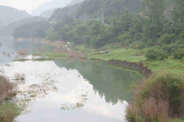 충주호 제일낚시 꾸준한 월척과 노지대물붕어소식입니다 (조황조행기 - 낚시점조황)