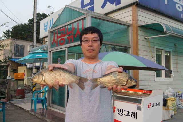 서서히 가을낚시 시작되려나 (조황조행기 - 낚시점조황)