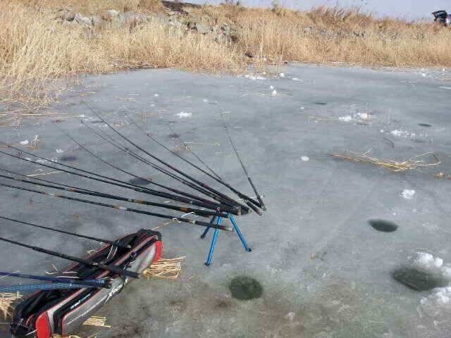 천수만 얼음낚시 조황 출조시참고하세요 (조황조행기 - 낚시점조황)