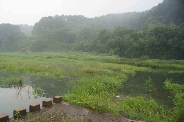 충주호 오름수위 큰폭예상 (조황조행기 - 낚시점조황)