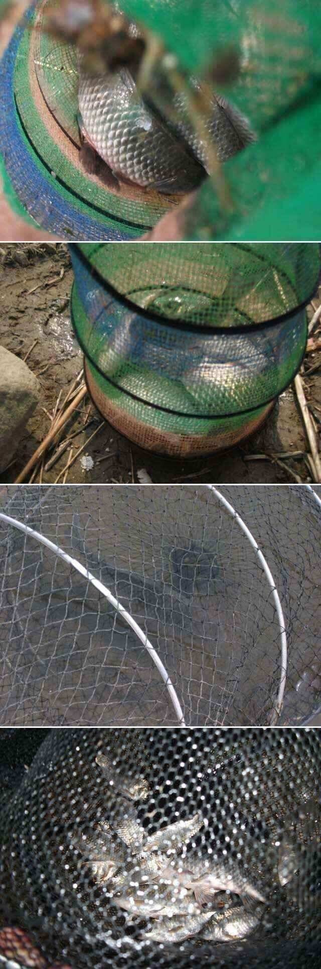 아산권 수로조황입니다곡교천 줄기입니다 (조황조행기 - 낚시점조황)