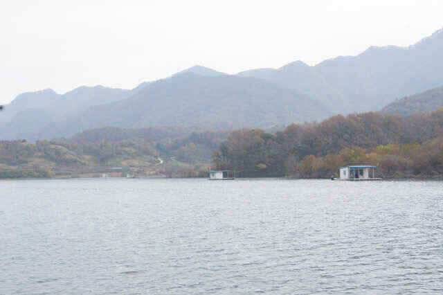 충주호제일낚시 준척의 마리수 (조황조행기 - 낚시점조황)