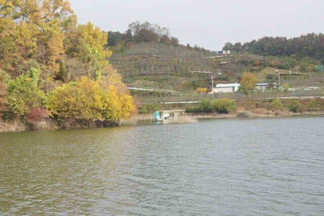 제일낚시34월척과 가을속의이쁜준척들 (조황조행기 - 낚시점조황)