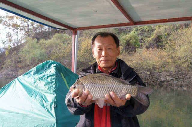 제일낚시 꾸준한월척소식 (조황조행기 - 낚시점조황)