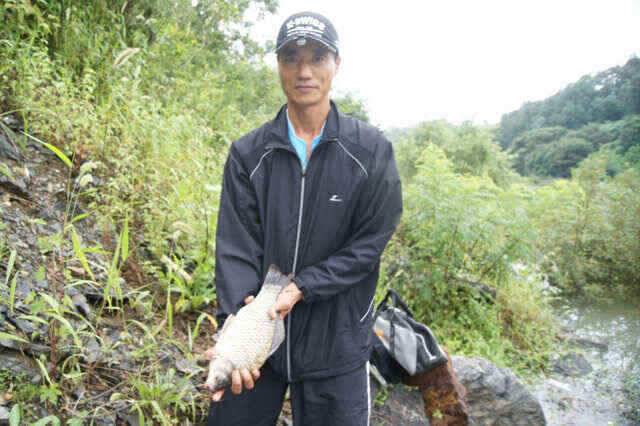 노지4짜와 장임식낚시터 월척들 (조황조행기 - 낚시점조황)
