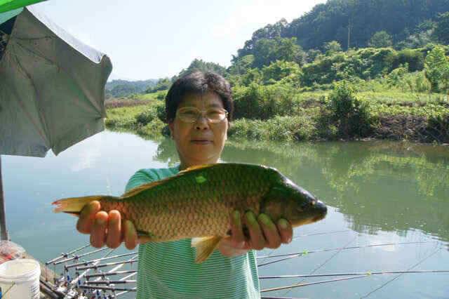 장임식낚시터4짜와 김기호낚시대물보기 (조황조행기 - 낚시점조황)