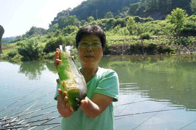 장임식낚시터4짜와 김기호낚시대물보기 (조황조행기 - 낚시점조황)