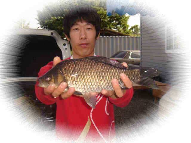 청통권도 아직 배수가 진행중입니다 (조황조행기 - 낚시점조황)