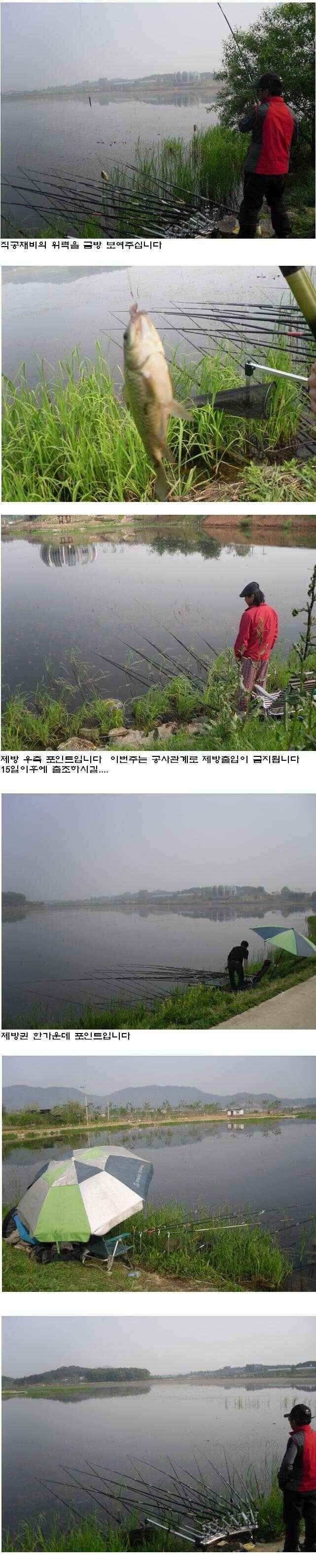 상주권 조황정보 (조황조행기 - 낚시점조황)
