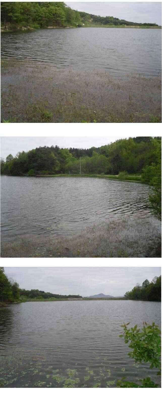 상주권 조황정보 (조황조행기 - 낚시점조황)