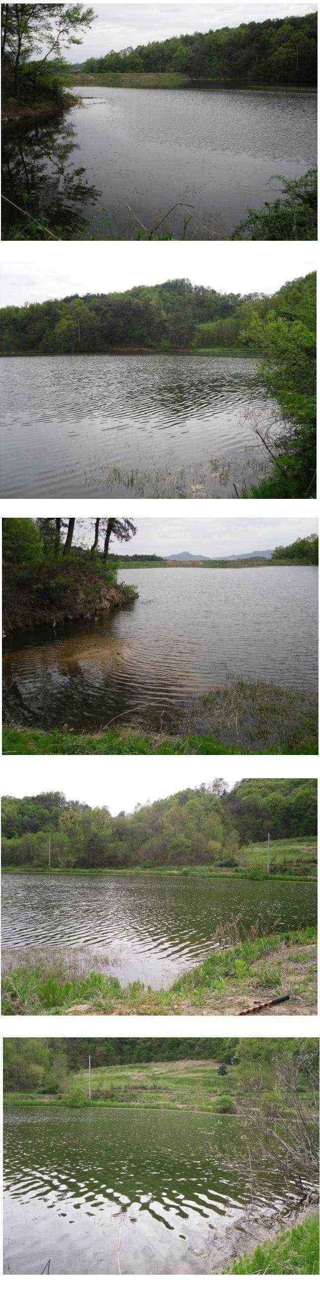 상주권 조황정보 (조황조행기 - 낚시점조황)