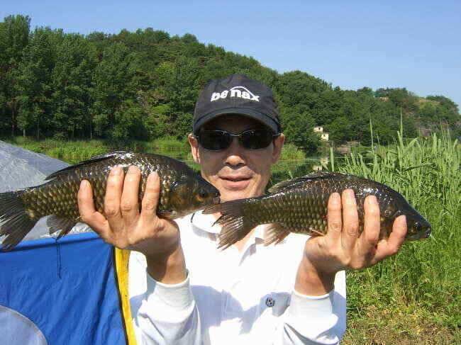금호강 조황 (조황조행기 - 낚시점조황)