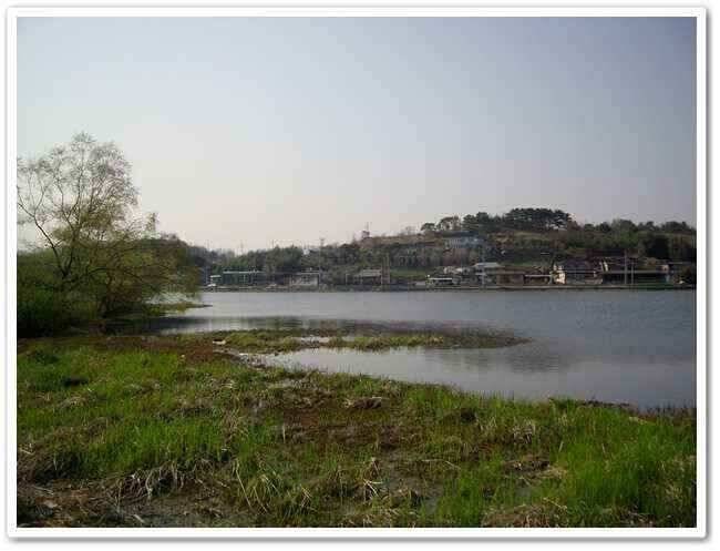 산란기붕어 휴식기 (조황조행기 - 낚시점조황)