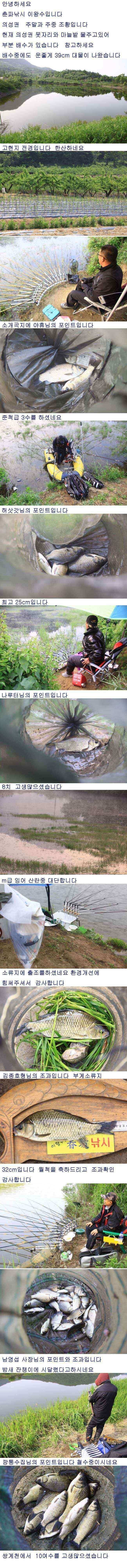 의성권 배수기운좋게 39cm (조황조행기 - 낚시점조황)