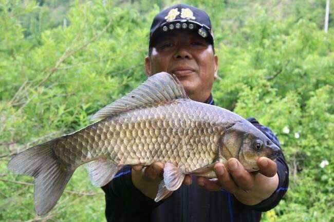 배수기중 355cm 43cm 까지 (조황조행기 - 낚시점조황)