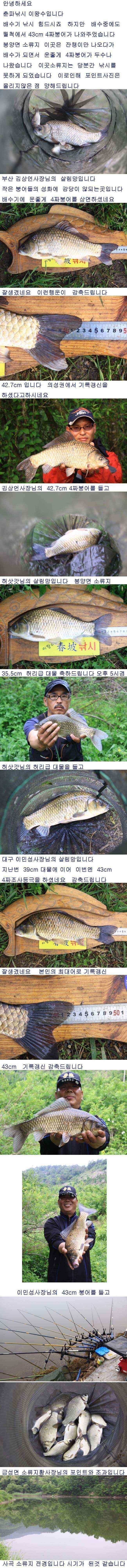 배수기중 355cm 43cm 까지 (조황조행기 - 낚시점조황)