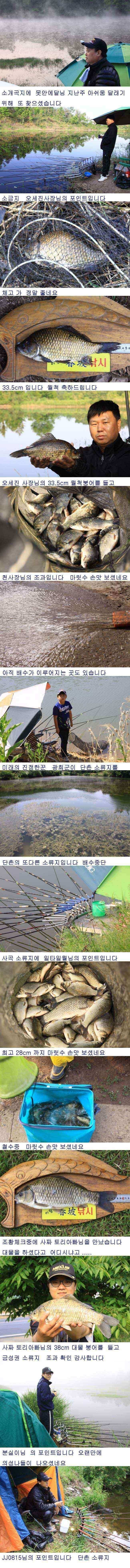 배수기중 355cm 43cm 까지 (조황조행기 - 낚시점조황)