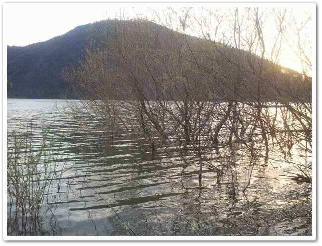 현징답사 (조황조행기 - 낚시점조황)