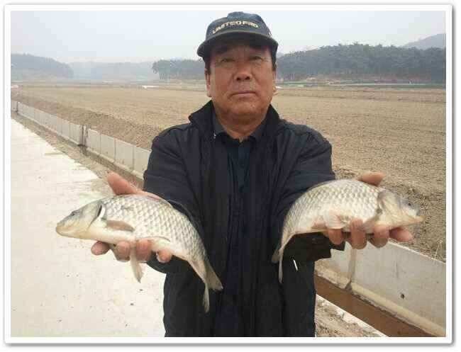 현징답사 (조황조행기 - 낚시점조황)