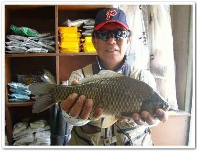 배수기와 회복기 47cm (조황조행기 - 낚시점조황)