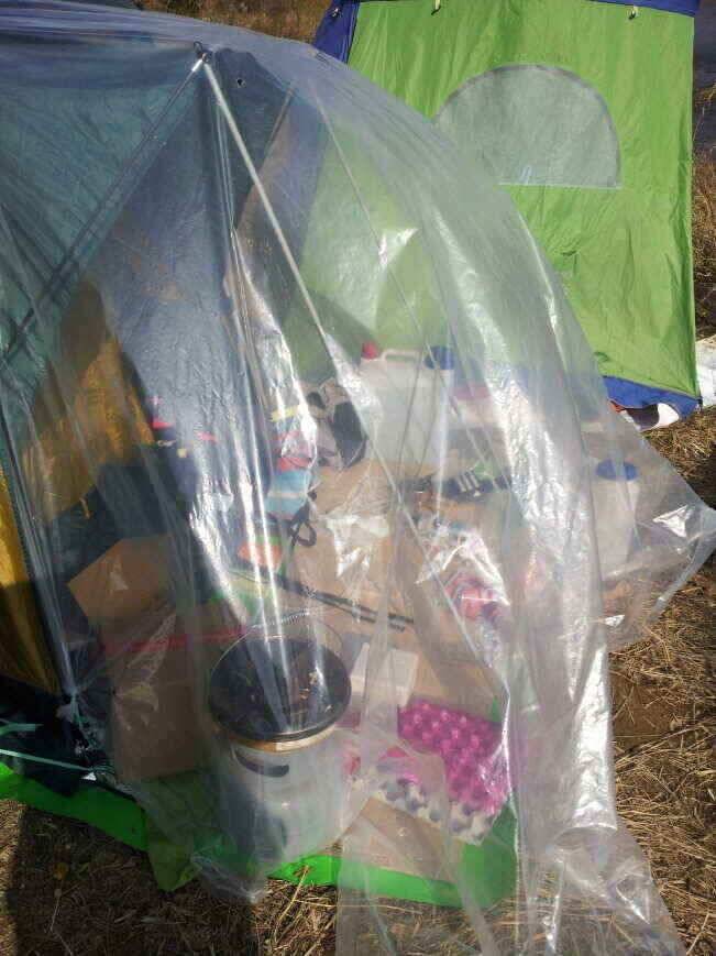 살아나는 수로권 대형급소식 (조황조행기 - 낚시점조황)