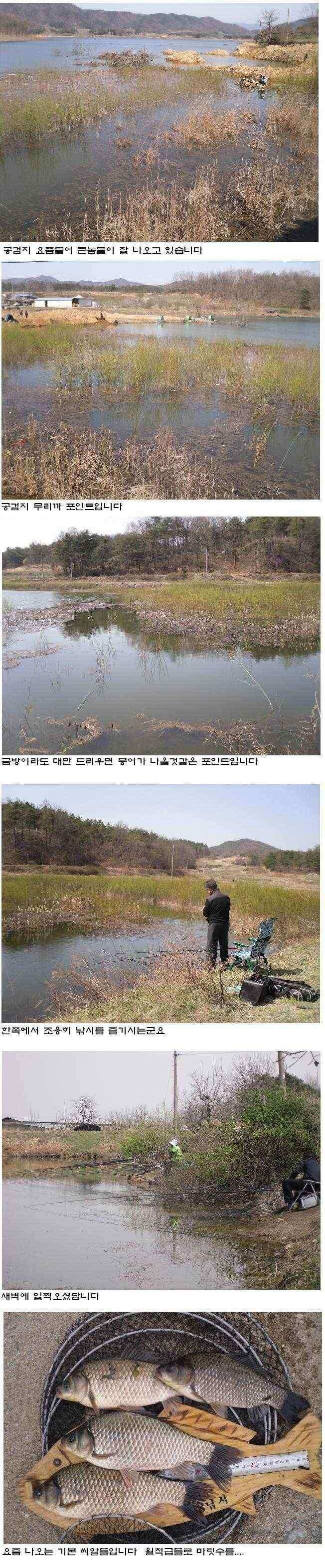 상주권조황정보 (조황조행기 - 낚시점조황)
