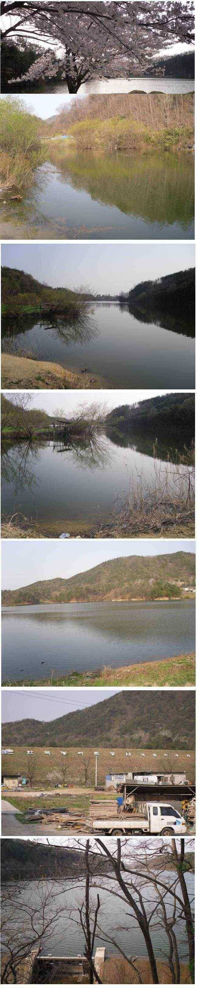 상주권조황정보 (조황조행기 - 낚시점조황)