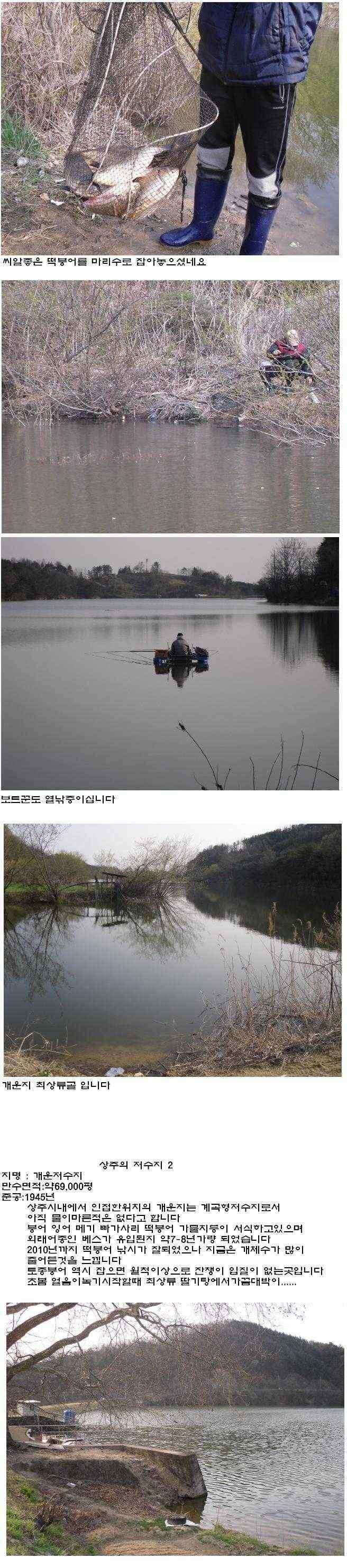 상주권조황정보 (조황조행기 - 낚시점조황)