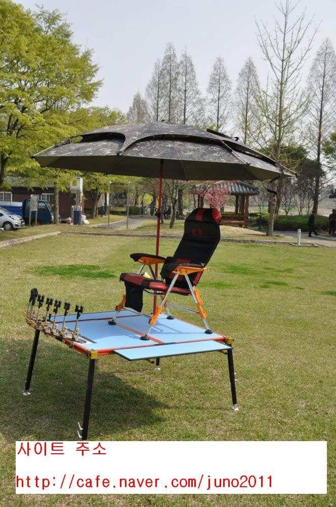 창녕권 조황 (조황조행기 - 낚시점조황)