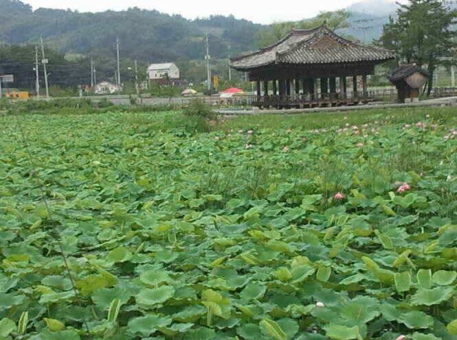 지금 출발 하십시요 (조황조행기 - 낚시점조황)