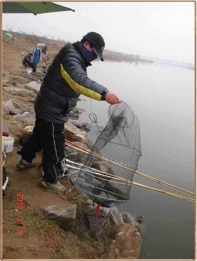 진위천 조황소식 (조황조행기 - 낚시점조황)
