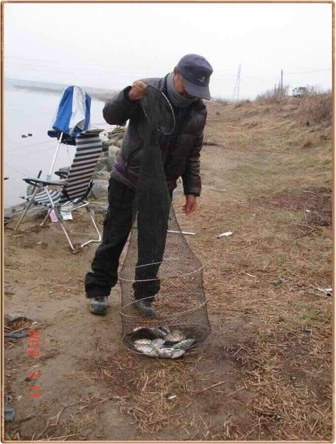 진위천 조황소식 (조황조행기 - 낚시점조황)
