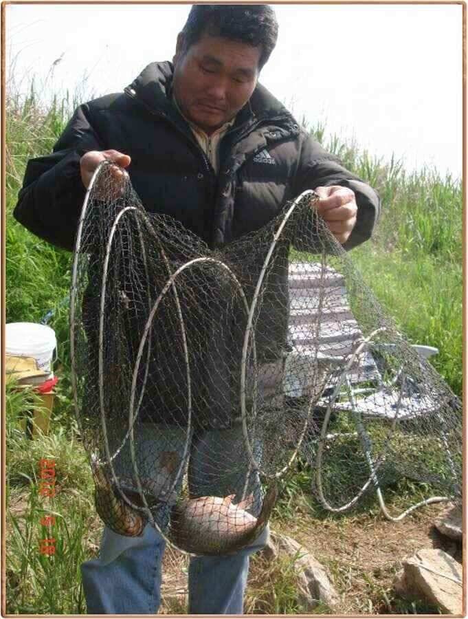진위천 조황소식 (조황조행기 - 낚시점조황)